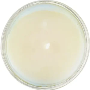 100% Beeswax Votive Candle - Green Seas