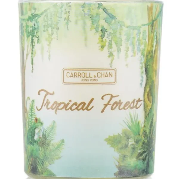 100% Beeswax Votive Candle - Tropical Forest