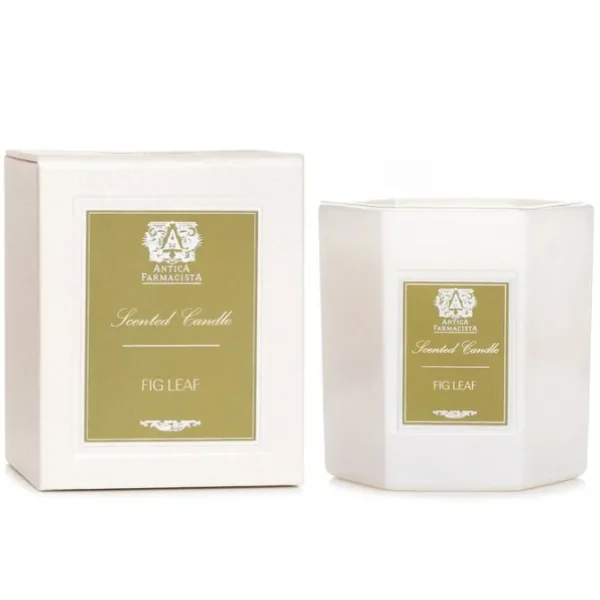 Candle - Fig Leaf