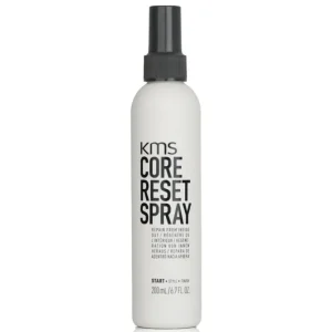 Core Reset Spray (Repair From Inside Out)