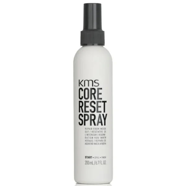 Core Reset Spray (Repair From Inside Out)