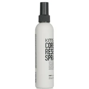 Core Reset Spray (Repair From Inside Out)