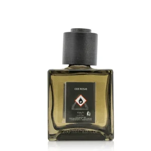 Decor Room Diffuser - Oderosae