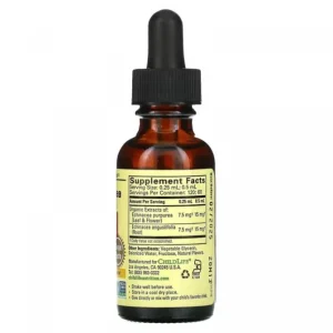 Echinacea (Natural Orange Flavor)