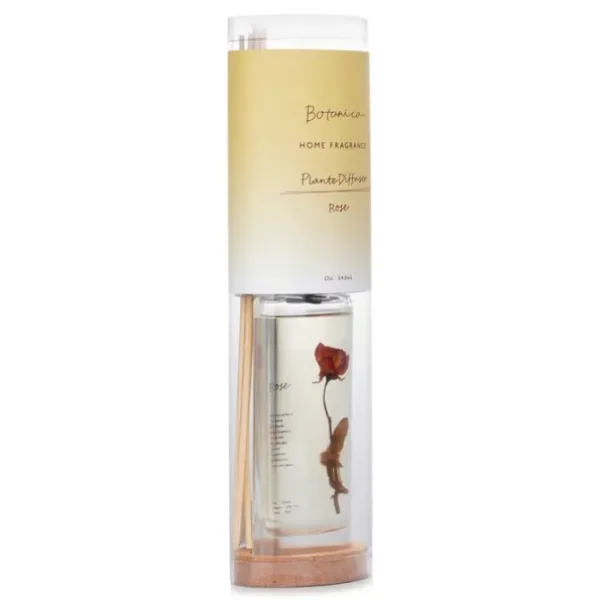 Home Fragrance Plante Diffuser - Rose