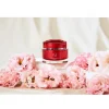 Intensive Renewal Cream