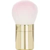 Meteorites Powder Brush