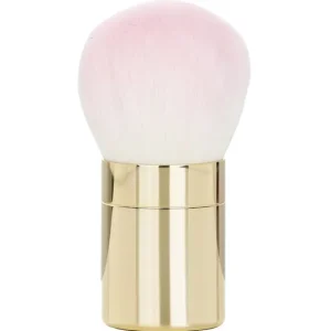 Meteorites Powder Brush