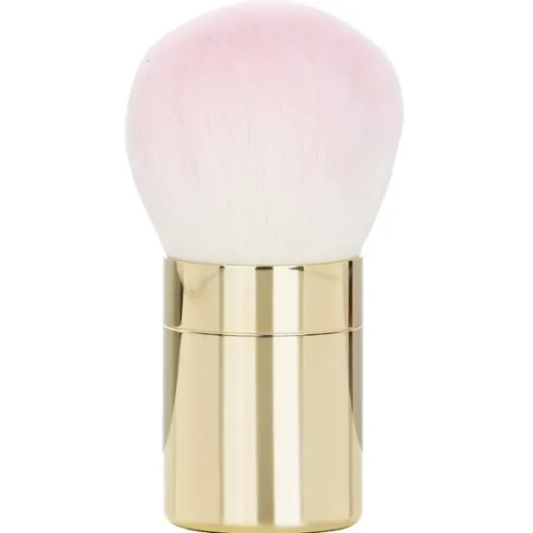 Meteorites Powder Brush