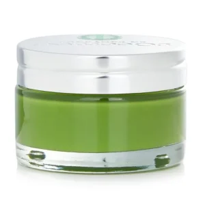 Purifying Mask