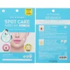 Spot Care Patch Kit