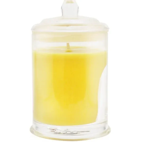 Triple Scented Soy Candle - A Tahaa Affair (Vanilla Caramel)