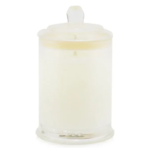 Triple Scented Soy Candle - Rendezvous (Amber & Orchid)